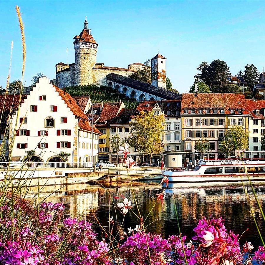 Apartment Suedwind - Beautiful Premium Apartment With 2 Bedrooms Near Rhine Falls & Zurich Airport In Klettgau Weisweil  ภายนอก รูปภาพ